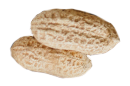 Φιστίκια